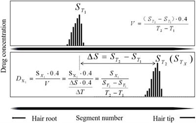 Time course of estazolam in single-strand hair based on micro-segmental analysis after controlled oral administration